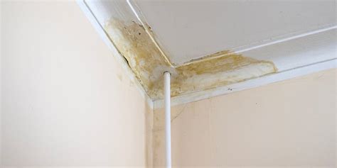 water damage apartment ceiling|Heres What Plumbers Say to Do About a Water Stan on the Ceiling